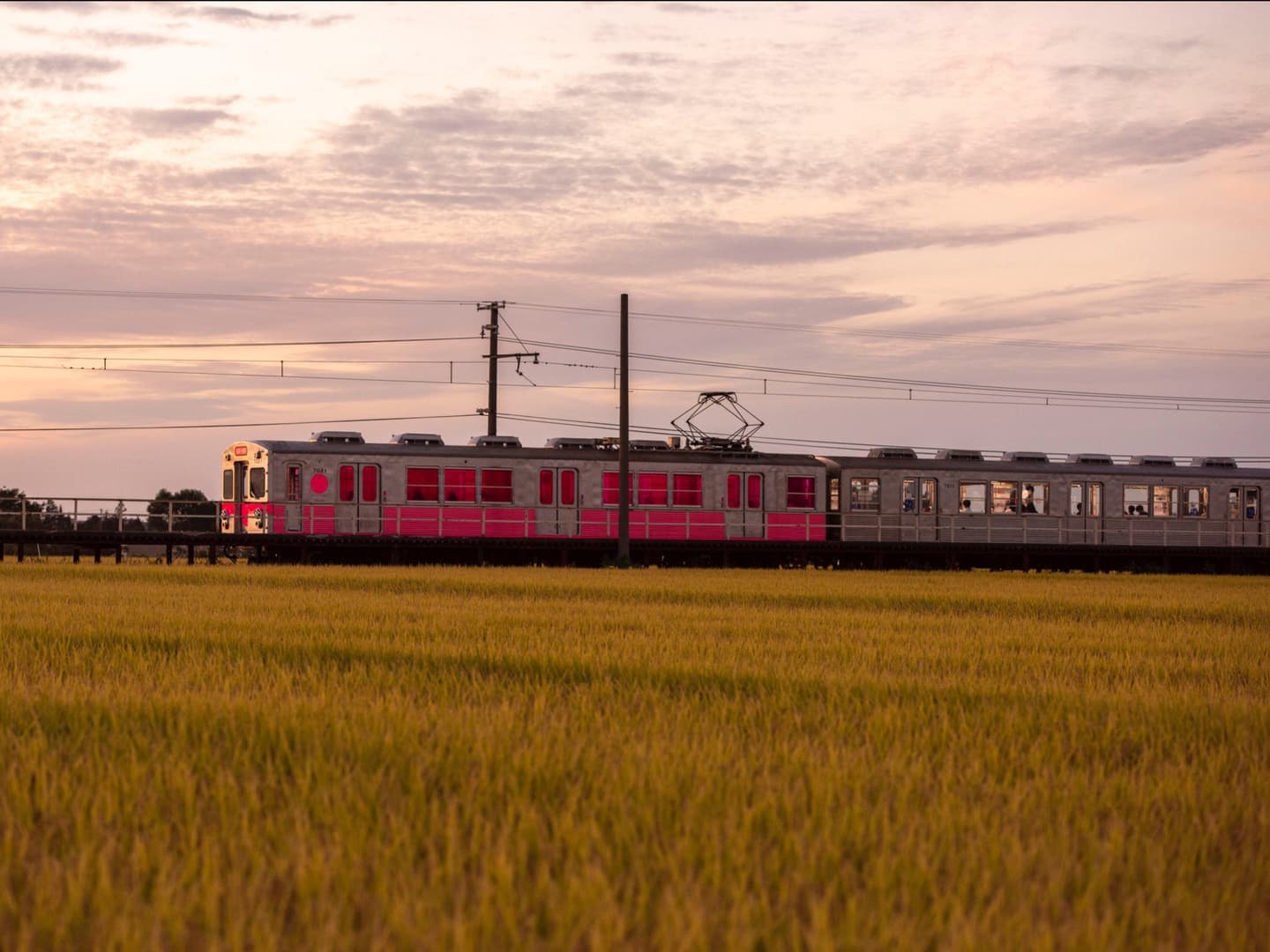 Aomori Mappink Memory